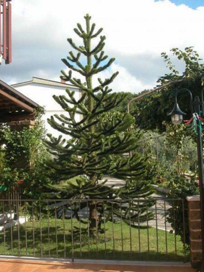 La Casa Sull'Aia,Av Bed & Breakfast Santo Stefano del Sole Luaran gambar